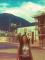 Tracy_2909